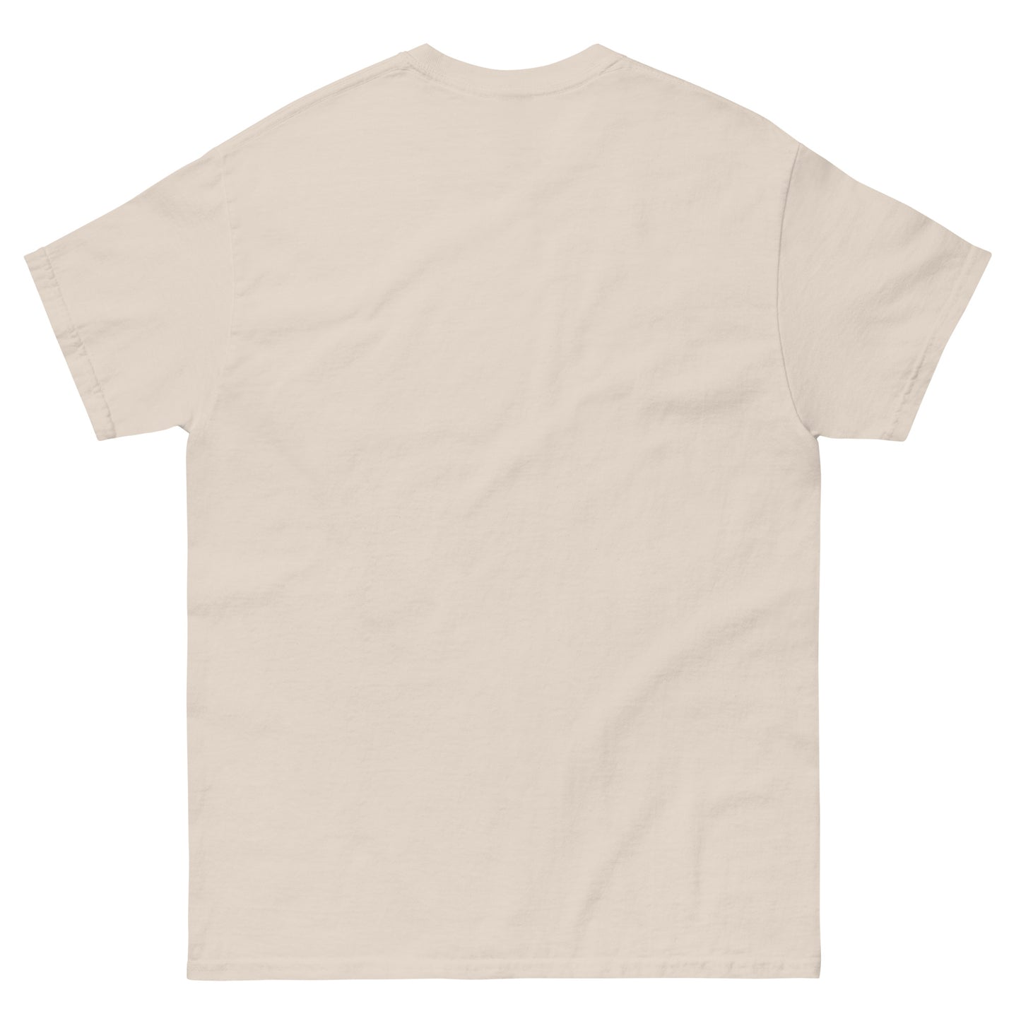 *NDLPT Pop Star T-Shirt